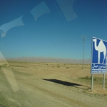 tunisa spring trip