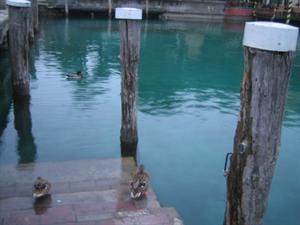 sirmione (44).jpg