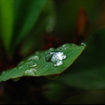 DSC_6906.jpg