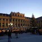 Vienna Winter 2011-2012