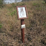 DSCN4684.jpg