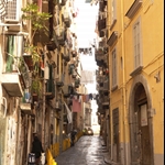 DSC02387.JPG