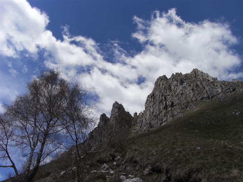 RIMG0016.JPG