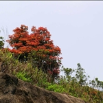 DSCN5477.jpg