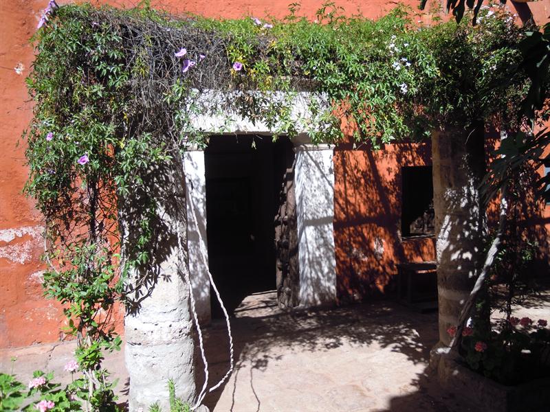 DSCN0280.JPG