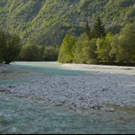 DSC_0220_3491.jpg