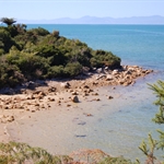 DSC_0555.JPG
