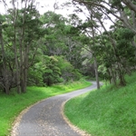 Mauna Loa Road