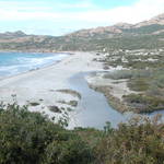 DSC_0342.JPG