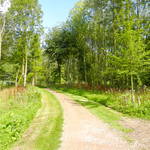DSCN1300.JPG