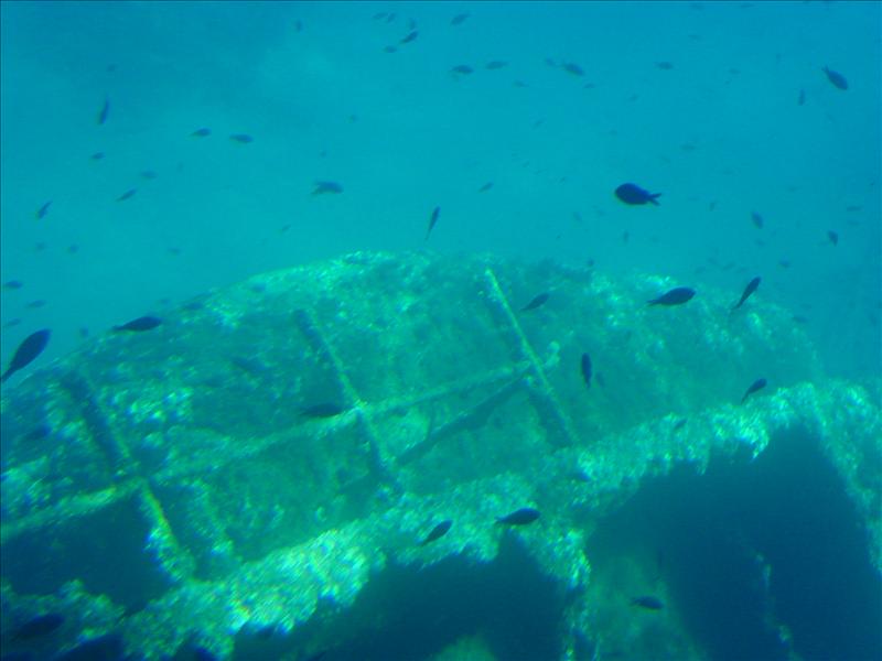Underwater view from catamaran