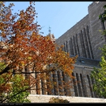 DSC_0950.JPG