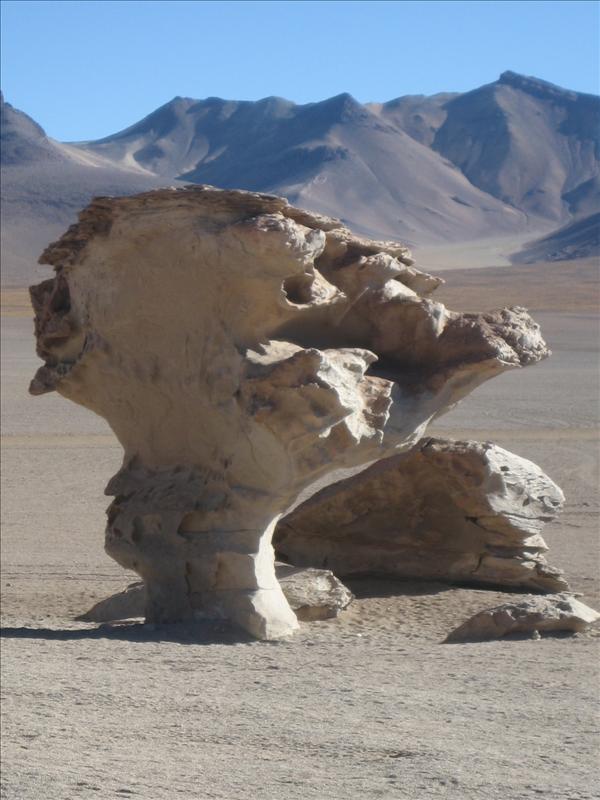 Tree of Stone.jpg