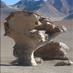 Tree of Stone.jpg