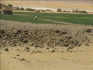Rieke_onderweg_Farafra-Dakhla_IMG_0591.JPG