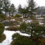Beautiful landscape at Ainu Village