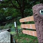 Start at Tsuen Kam Au 荃錦坳起步