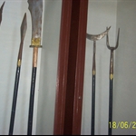 file102.jpg