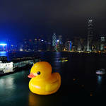 橡皮鴨遊世界香港站 Rubber Duck Project HK Tour