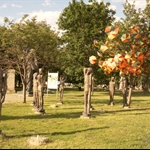 DSC00065.JPG