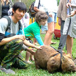 Australia ZOO 2011