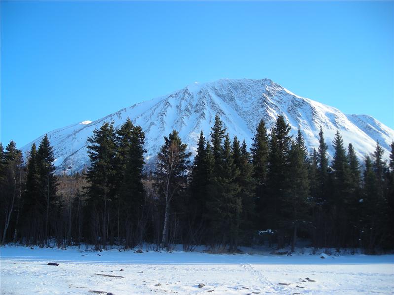 kenai lake 037.JPG