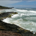 DSCN1217.jpg