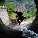 20130213  雙城峽 Sheung Shing Valley