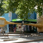 DSCN1672.jpg