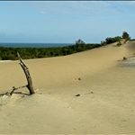 DSCN1134.jpg