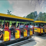 Xiang Jiang Safari Park 香江野生動物世界