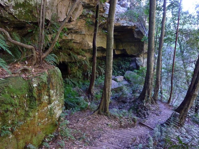 P1010211.JPG