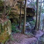 P1010211.JPG