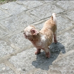 DSCN5469.jpg