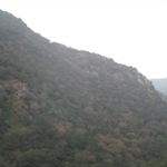 IMG_3501.JPG