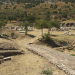 CAM_0095.JPG