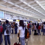 台灣桃園機楊