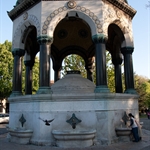 IMG_7496.jpg