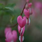 IMG_9340.JPG