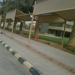 IMG00166-20110417-1702.jpg