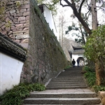 P1000819.jpg