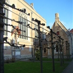 DSC02263.jpg
