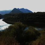 DSC_0799.JPG