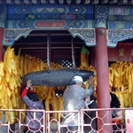 DSC06110.JPG