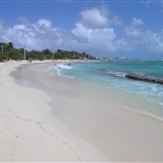 PLAGE AUX RAISINS CLAIRS.JPG