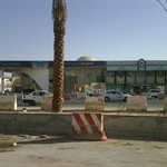 IMG00773-20101112-0813.jpg