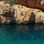 the water was that clear