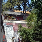 DSC06094.JPG