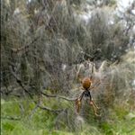 DSCN1180.jpg