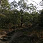 DSCN4677.jpg